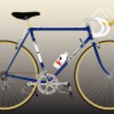My-1980-Roger-de-Vlaeminck-Bike